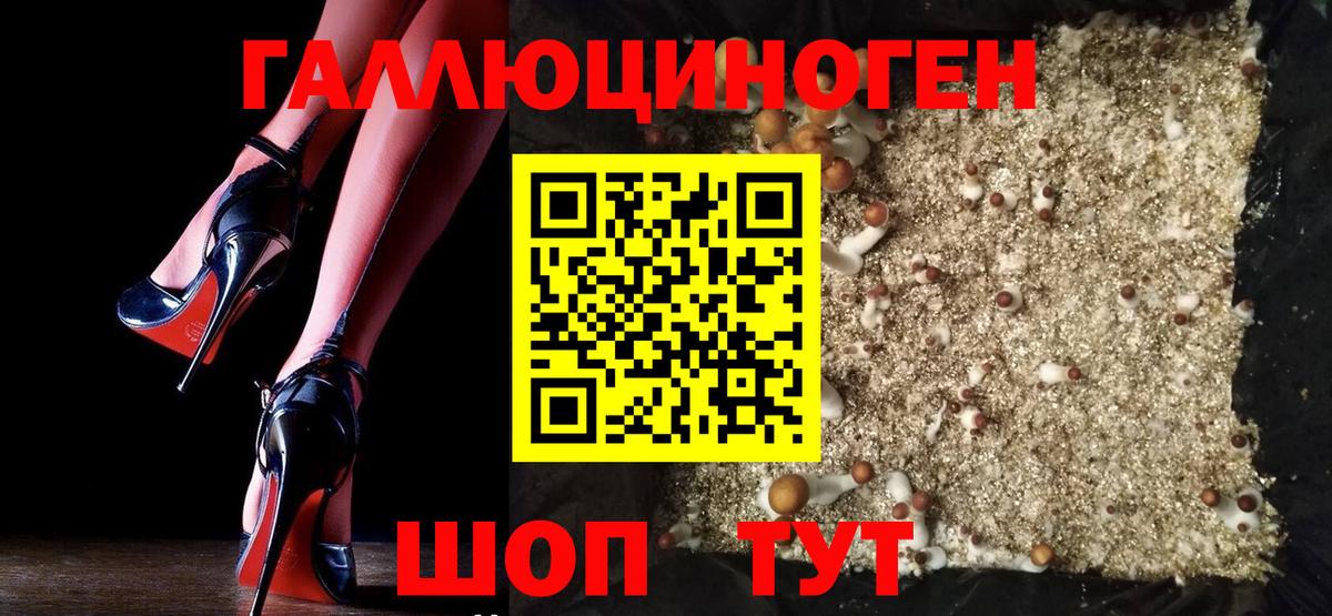 Псилоцибиновые грибы Magic Shrooms  Галлюциногенные грибы мицелий  Вход с VPN  закладки  Каменка 